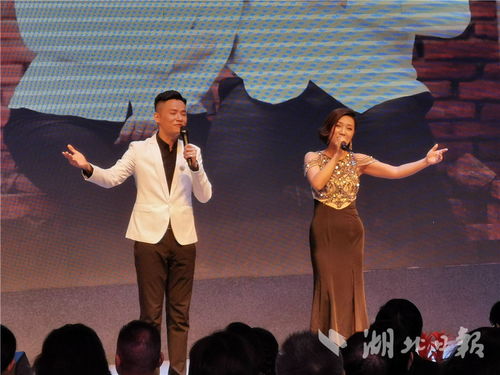 湖北省文藝界原創音樂作品專題演唱會成功舉辦，系列公益演出持續惠民